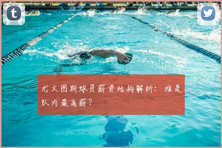 尤文图斯球员薪资结构解析:谁是队内最高薪?