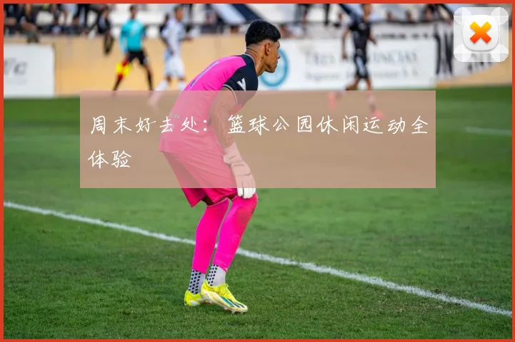 周末好去处:篮球公园休闲运动全体验